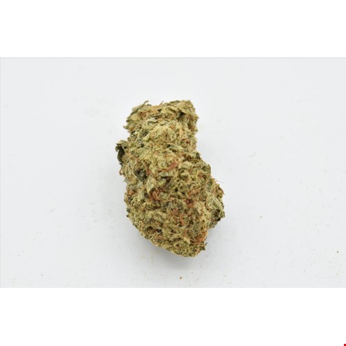 pink kush bee.JPG